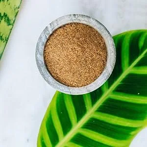 Rio Trading Co Pau D'arco 40 Teabags - Pau d