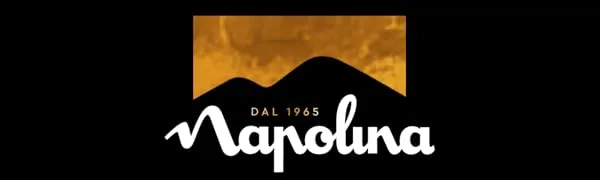 Napolina Rigatoni Pasta 500g Single - napolina logo