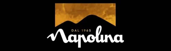Napolina Whole Wheat Spaghetti Pasta 500g - napolina logo