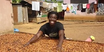 Divine Dark Chocolate Ginger Thins 200g - Beatrice Asante