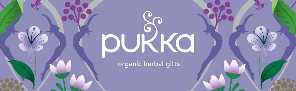 Pukka Blackcurrant Beauty Fruit Tea 20 Sachets - header organic herbal gifts