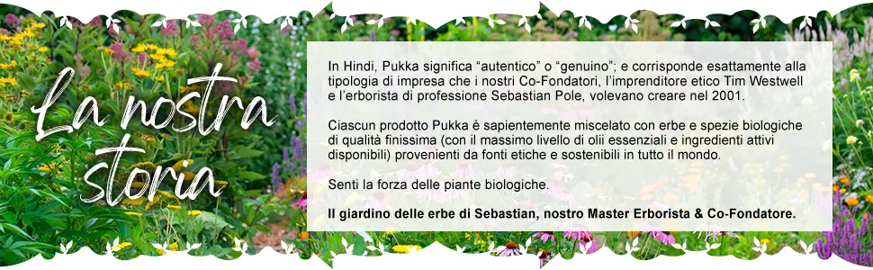 Echinacea Organic Elderberry Infusions 20 Pukka Sachets - Pukka, tea, tea, tea, tea, tea, infusion, infusions, herbal teas, organic, infusions