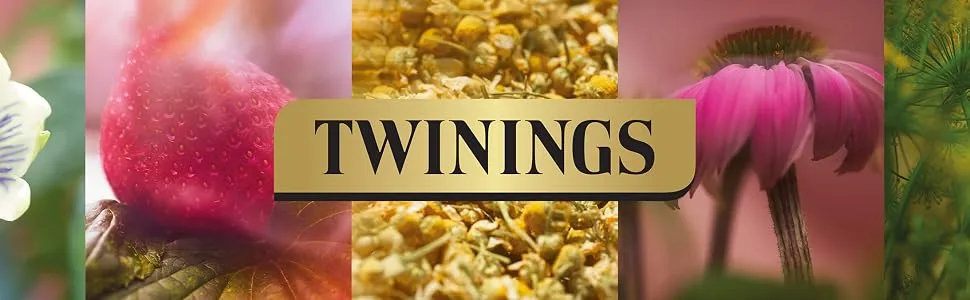 Twinings Superblends Sleep Tea - Spiced Apple & Vanilla Herbal Tea Infusion with Camomile & Passion Flower - 20 Biodegradable Tea Bags - Twinings branded header with ingredient pictures