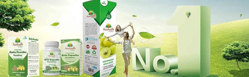 Amla Fruit (Gooseberry) Candy 250grm - Amla Product Range