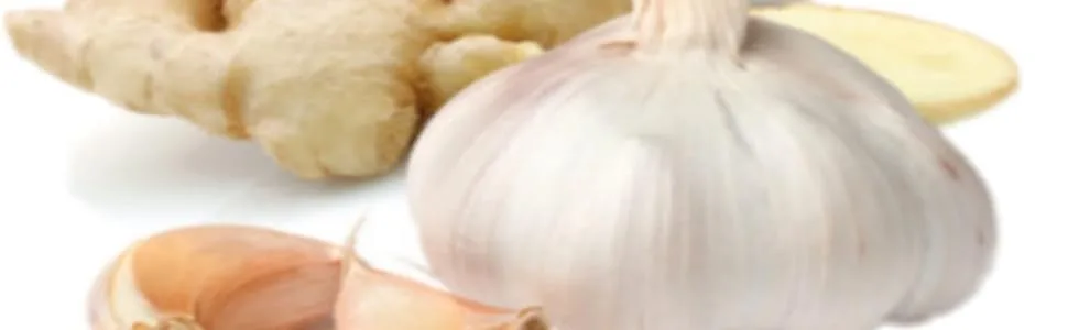 TOOBA Ginger & Garlic Mix Paste |Spicy |Great Flavour |AUTHENTICATE Taste| 1 KG - Ginger And Garlic