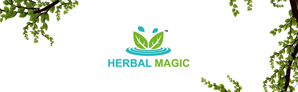 Herbal Magic's Pure & Natural Whole Dried Stevia Leaf Cuts Natural Sweetener Whole Leaves Used Premium Quality Stevia Leaf Cuts -100g - product information 1