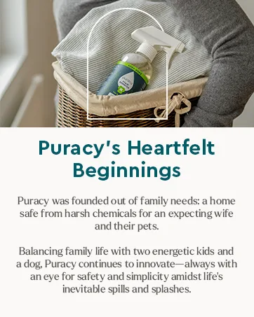 Puracy Everyday Surface Cleaner - Green Tea & Lime - 16 Fl Oz. - Heartfelt Beginnings