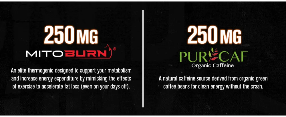 Jacked Factory Burn-XT Max - High-Performance Thermogenic Fat Burner - 90 VEGGIE Capsules - Ingredients desktop