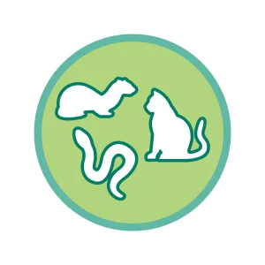 Oxbow Animal Health Critical Care - Carnivore - 2.47 Oz. - image