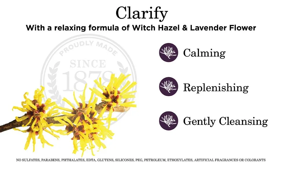 The Grandpa Soap Co. Witch Hazel Shampoo Clarify 8 fl oz (235 ml) - clarify