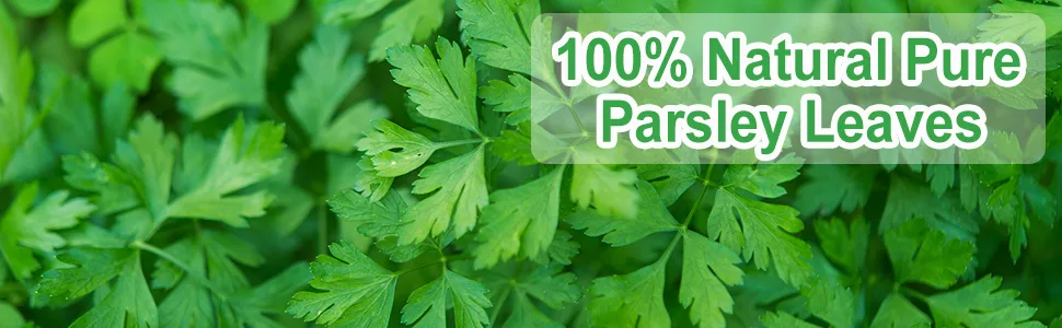 FullChea - Parsley Tea Bags, 40 Teabags, 2g/bag - Premium Parsley Leaf Tea - Non-GMO - Caffeine-free - Aid Digestion & Boost Immunity - parsley leaf