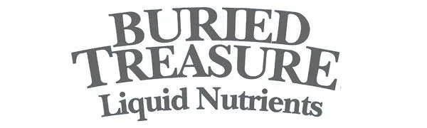 Buried Treasure Elderberry ACF Immune Support 16 fl oz (473 ml) - elderberry syrup gummies oscillococcinum frontier sambucol black elderberries sambucus cold flu