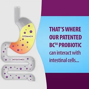 Schiff Digestive Advantage Daily Probiotic Gummies Natural Fruit Flavors  90 Gummies - Digestive Advantage Daily Probiotics Capsules