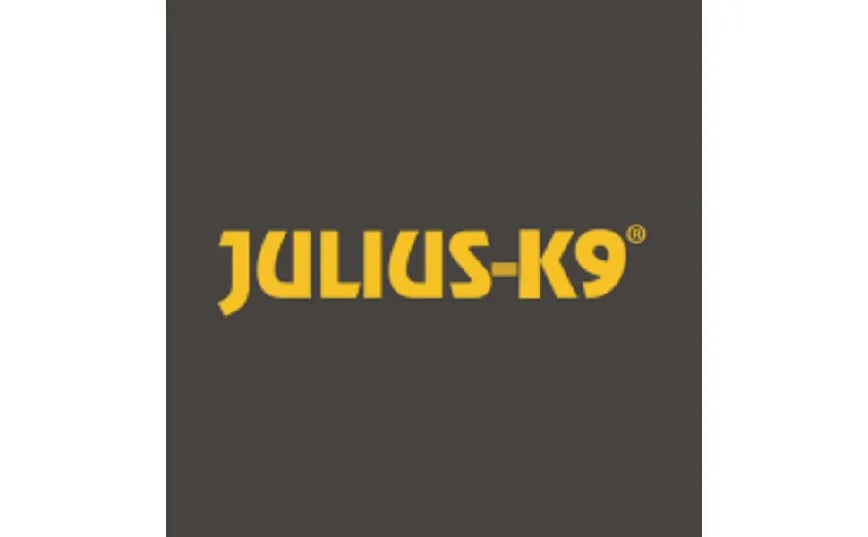 Julius-K9 IDC Powerharness Size: L/1 Crazy Crazy L/1 - product information 1