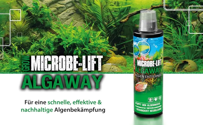 Microbe -Lift Algaway - 118 ml - algae shredders - fast & effective algae fighting for freshwater aquariums prevents new formation safe for fish and plants 118ml (4Oz) - Algaway Header