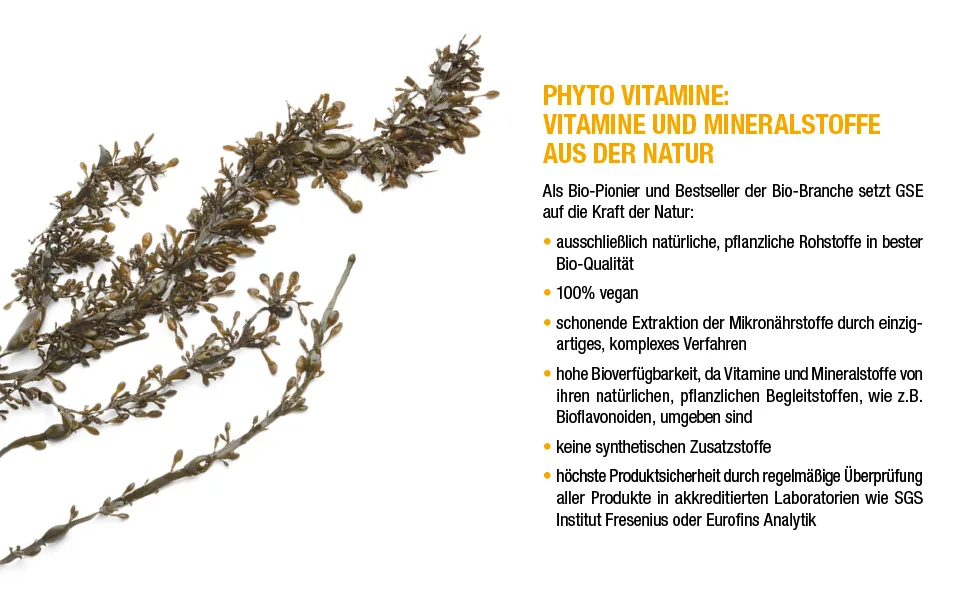 GSE Iodine Compact Tablets 100% high-dose iodine from plants no added flavors or sugar organic quality - product information 3