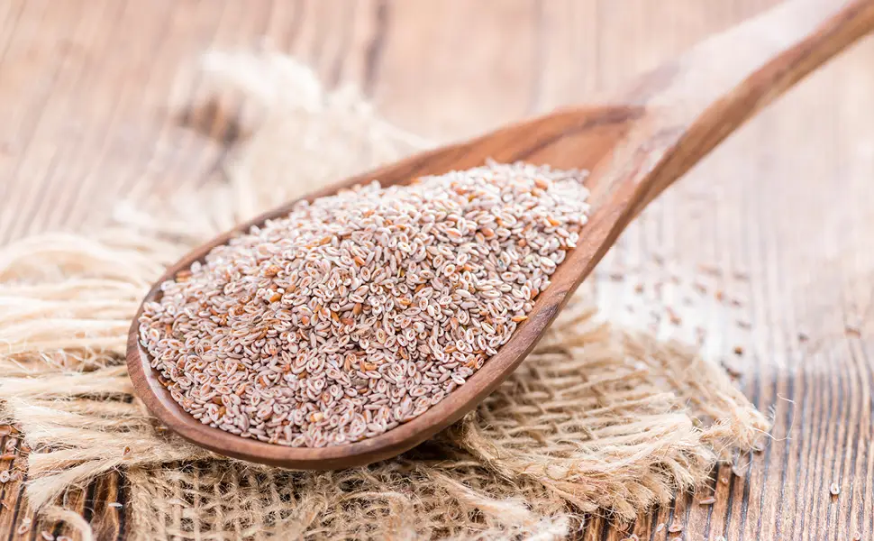 GreatVita Organic Psyllium 99% pure 1000g whole psyllium in a bag - Flohsamen