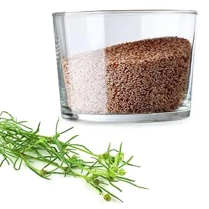 GreatVita Organic Psyllium 99% pure 1000g whole psyllium in a bag - flohsamen