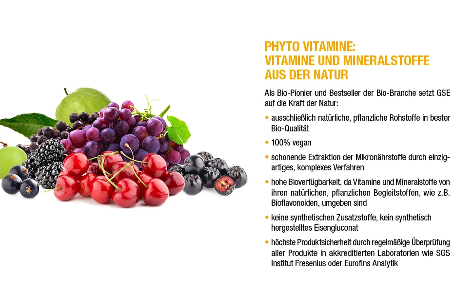 GSE iron vital complex direct juice with iron red grape sour cherry black currant blackberry aronia and elderberry juice without additives - eisen