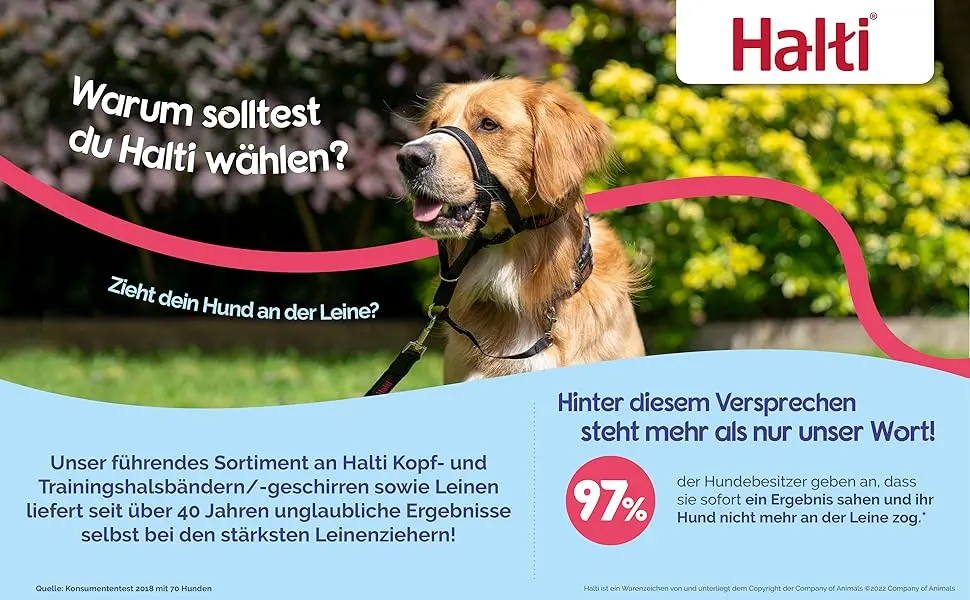 Halti head harness-prevents your dog from pulling on the leash simple adjustment light with padded nose strap anti-pull neck band for medium-sized dogs (size 2 red) 2 red - Halti