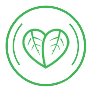 So Eco Makeup Brush Set for Eye Makeup - Recycelbar.