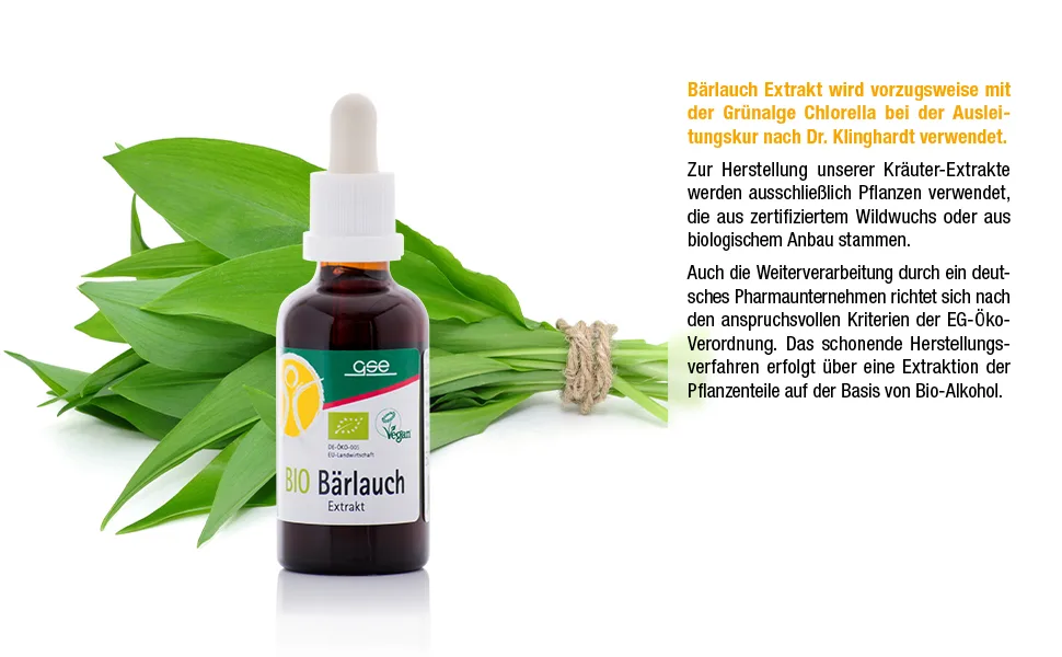 GSE wild garlic extract 50ml high-quality wild garlic drops in organic quality liquid vegan and without additives 100% plant-based - bärlauch