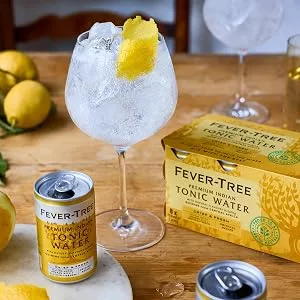 FEVER-TREE | Premium Indian Tonic Water | With natural flavours such as quinine from Central Africa | 24 x 150ml - Indian Tonic