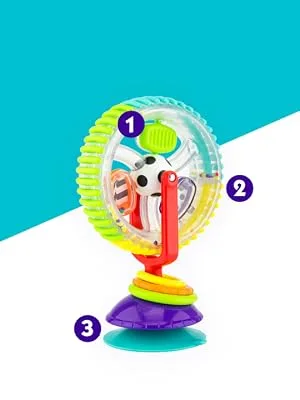 Sassy Wonder Wheel 6-24 Months 1 Count - Sassy Wonder Wheel