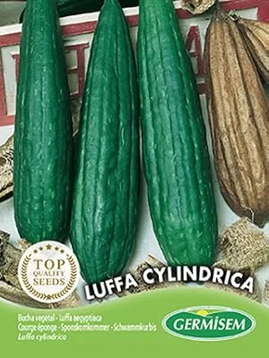 Luffa Cylindrica - 4010