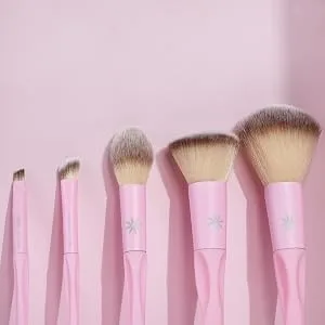 Brushworks HD complete set - Rosa