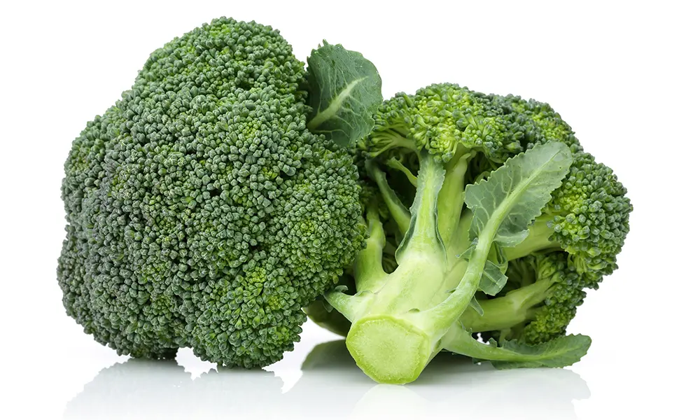 Broccoli extract + active enzyme Dr.Wolz capsules. - B07N3B1R8R