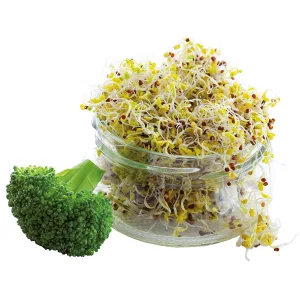 Broccoli extract + active enzyme Dr.Wolz capsules. - B07N3B1R8R