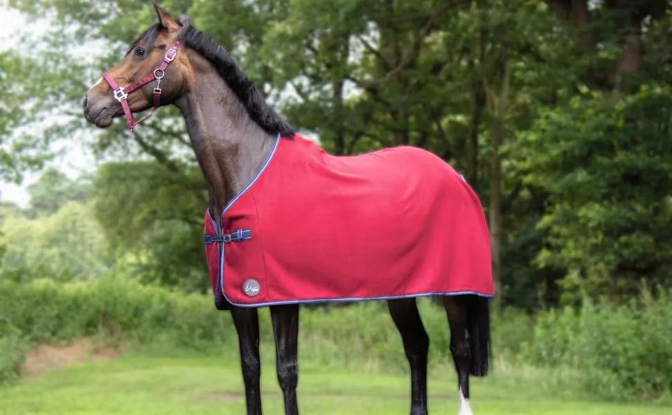 HKM Cooler Rug -Madrid- Pink 165 Blue - Madrid; Abschwitzdecke;Pferd;pink