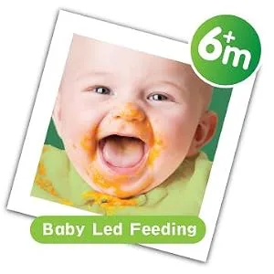 Nuby Garden Fresh Fruitsicles 6+ Months 4 Pack - product information 2