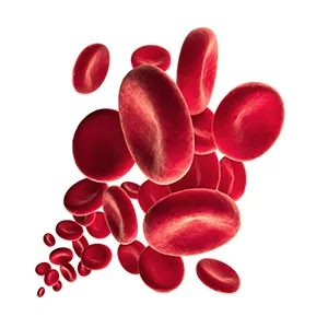 Thromboflow by Dr. Wolz for healthy blood flow blood flow capsules with grape seed extract ideal for air travel 60 capsules - B00E6PKR1C