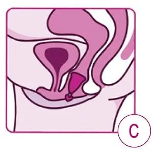 ELANEE menstrual cup size 2 easy removal thanks to discreet pull tab 33 ml capacity (741-00) - Einführen