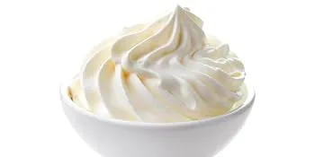 Debic professional whipped cream unsweetened 700 ml - Sahne