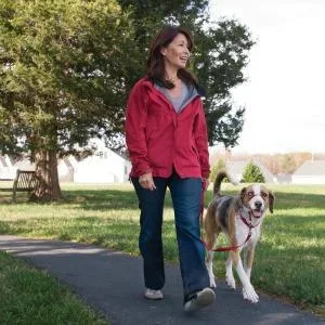 PetSafe Gentle Guide Collar with Training DVD Small Red - Halsband Halfter Geschirr Stop Jumping Stop Pulling Leine Hund