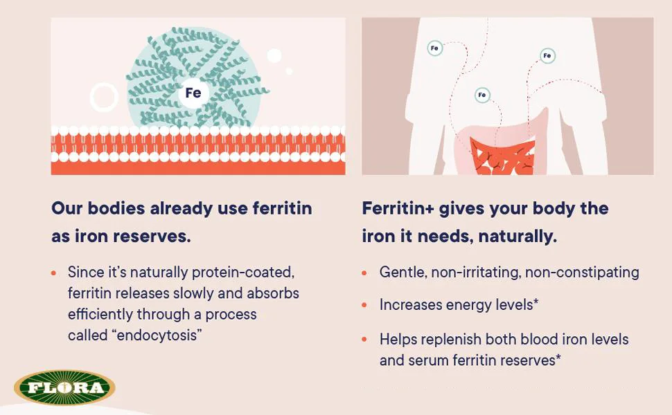 Flora Ferritin+ Plant-Based Ferritin Iron 30 Delayed Release Vegan Capsules - ferratin