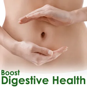 Jamieson Natural Sources Probiotic 10 Billion Active Cells 60 Vegetarian Capsules - prebiotic probiotic women weight loss health daily digestive enzymes raw vegetarian pre pro