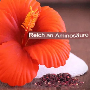 Indus Valley Bio Organic Powder (hibiscus) - product information 3