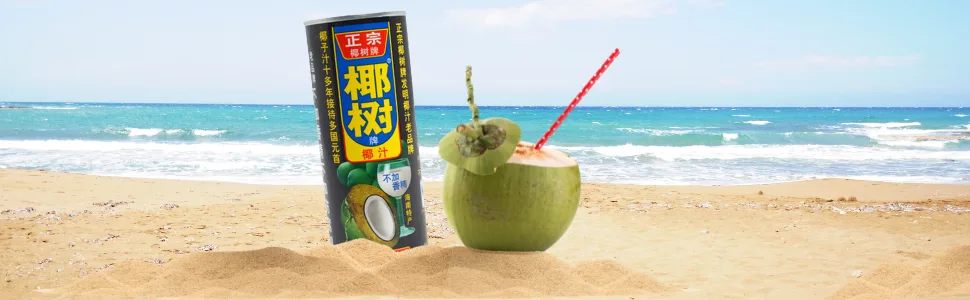 YESHU - Coconut Drink Can (1 X 245 ML) - Kokosgetranke