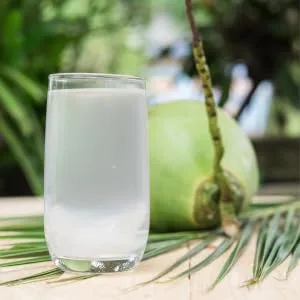 YESHU - Coconut Drink Can (1 X 245 ML) - Kokosgetranke