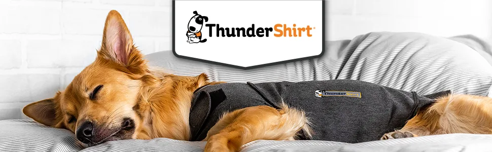 Thundershirt: Calming Vest for Dogs - Grey - Size XL XL Jacket Only - Thundershirt