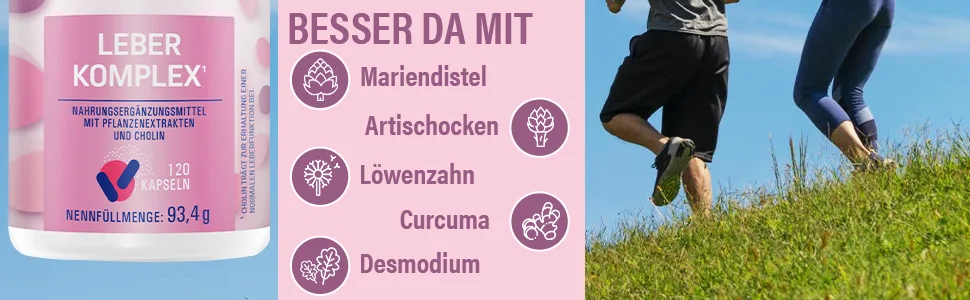 VIHADO liver complex plus distula thistle capsules high -dose - 80% silymarin artichokes dandelions curcuma desemodium and choline for the liver cure 120 capsules - leberkur entgiften testsieger leber plus