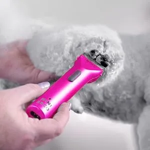 WAHL 5037127023129 - Pro Arco Mini Pnk - SGL - EU/UK - Mini Arco