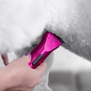 WAHL 5037127023129 - Pro Arco Mini Pnk - SGL - EU/UK - Mini Arco