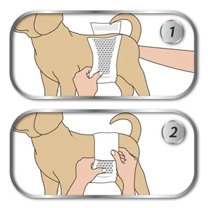 Simple solution disposable dog diapers |Dog diapers with super absorbent leak -proof fit |Uncontrolled urination incontinence or markings in dogs XS - instructions