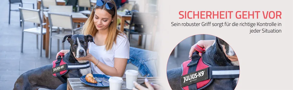 K9 Powerharness Size: S/Mini Red S/Mini Red - Julius-K9, K9, hunde, geschirr, komfort, kontrol