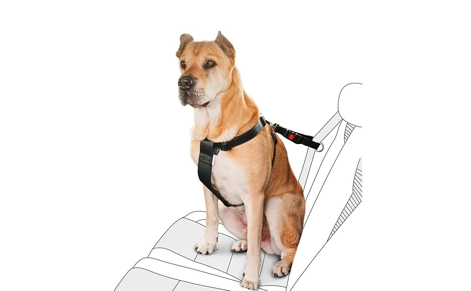 Karlie car safety harness M 40-60 cm M 40-60 cm - asdf